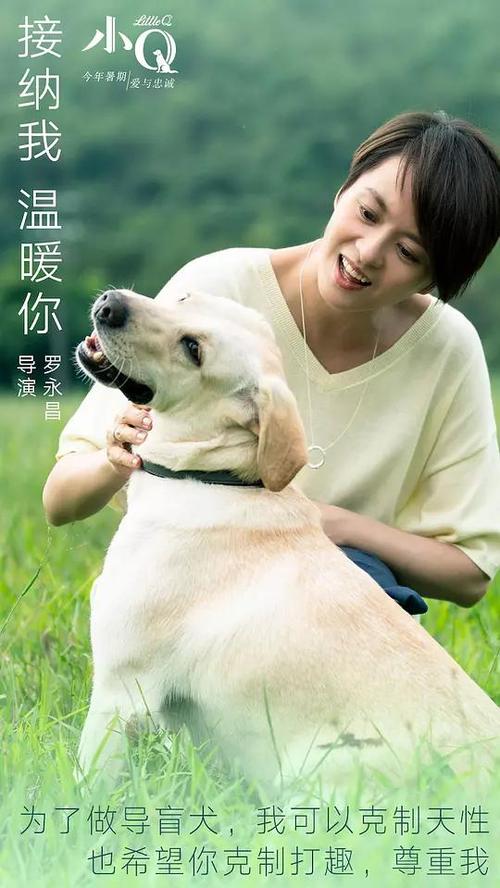 房产证图片和土地证图片区别
